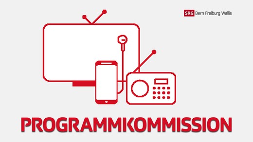 Bild von Programmkommission: neue Mitglieder gesucht