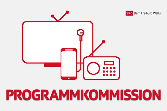 Bild von Programmkommission: neue Mitglieder gesucht